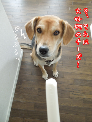 震える