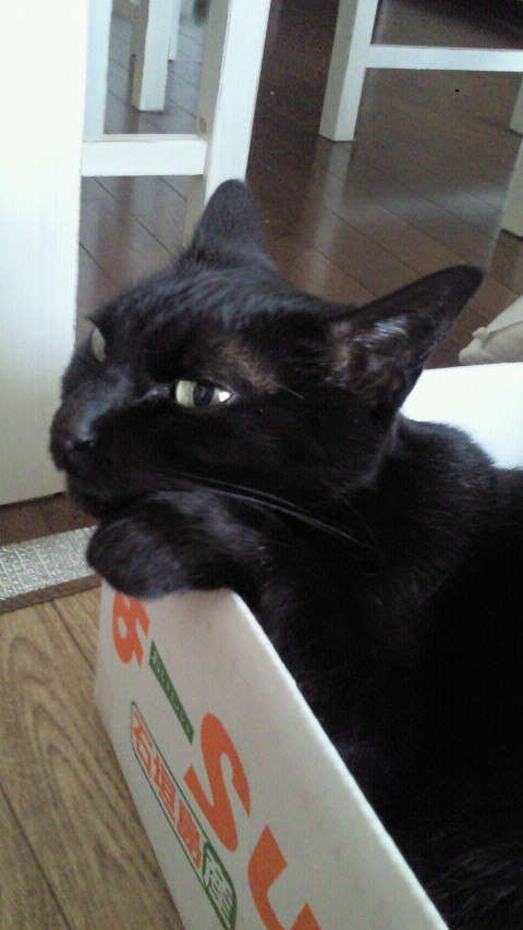 2012042209590000.jpg