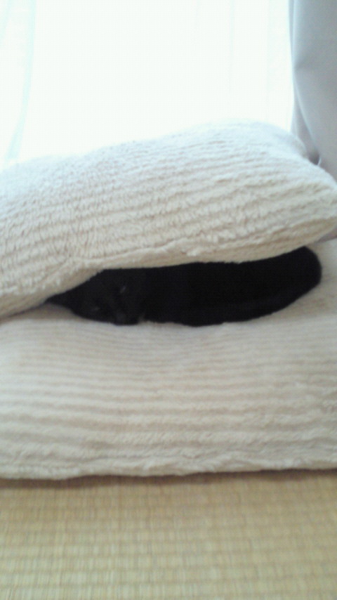 201205221639000.jpg