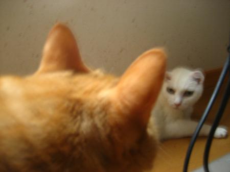 IMG_0004_convert_20120721135512.jpg