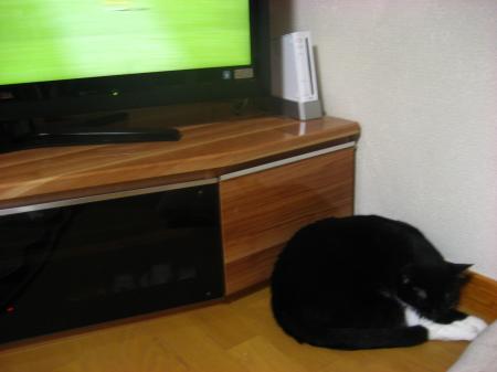 IMG_0205_convert_20120729211411.jpg