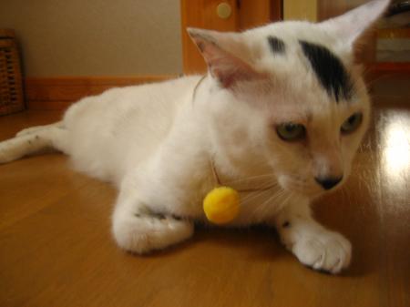 IMG_0708_convert_20120808173535.jpg