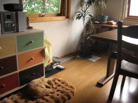 IMG_6698_convert_20120511174854.jpg