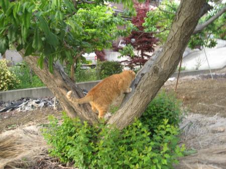 IMG_6851_convert_20120511175014.jpg