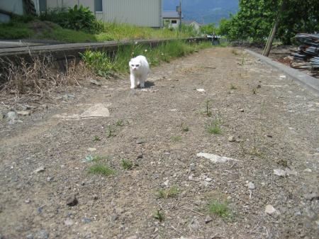 IMG_6906_convert_20121004224502.jpg
