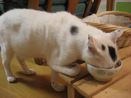 IMG_7016_convert_20120515171407.jpg