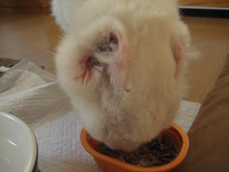 IMG_7279_convert_20120521193332.jpg