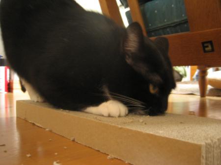 IMG_7951_convert_20120608212153.jpg