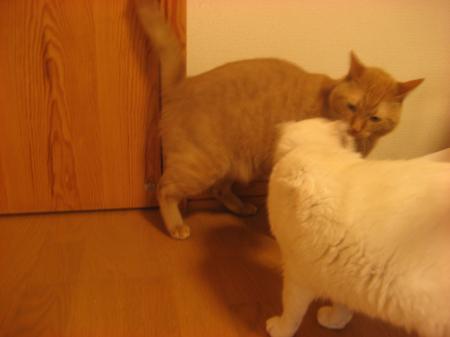 IMG_8170_convert_20120613185400.jpg