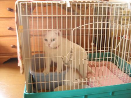 IMG_8529_convert_20120623180526.jpg