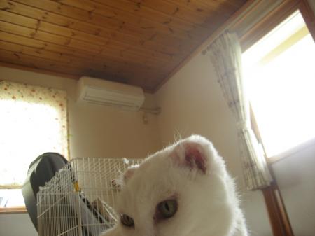 IMG_8558_convert_20120623180658.jpg