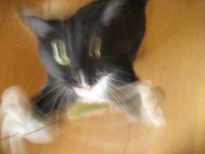 IMG_8716_convert_20120627150735.jpg
