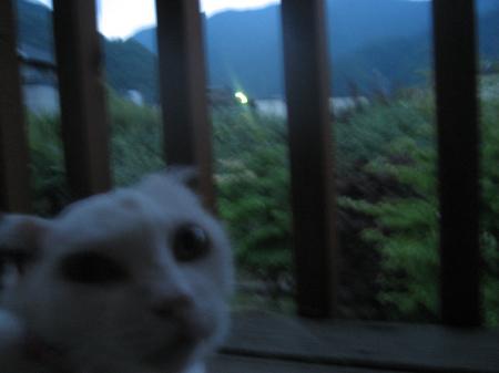 IMG_9364_convert_20120710183819.jpg