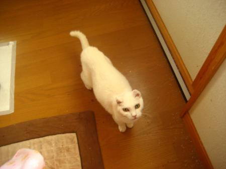 IMG_9792_convert_20120717171920.jpg