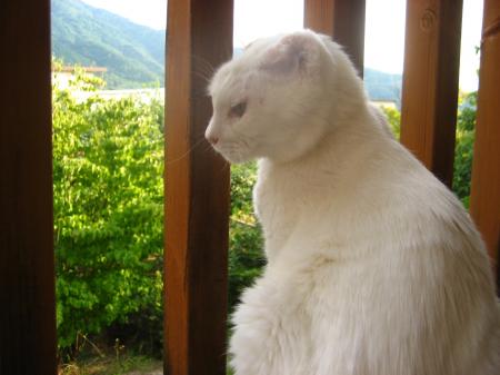 IMG_9898_convert_20120719194404.jpg
