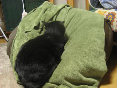 snap_tonekori6_20125218318.jpg