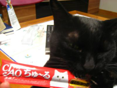 snap_tonekori6_201286203313.jpg