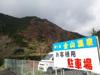 1124紅葉