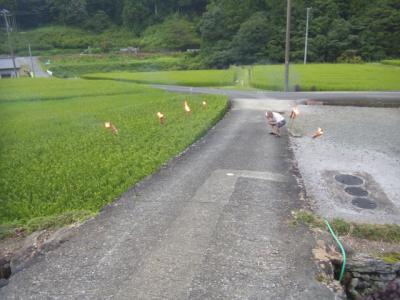 0815松明