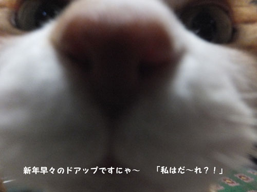 ドアップ