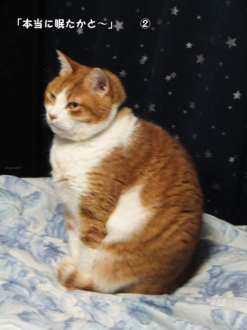 2013 12月26日-014