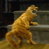 cat20wiggle.gif