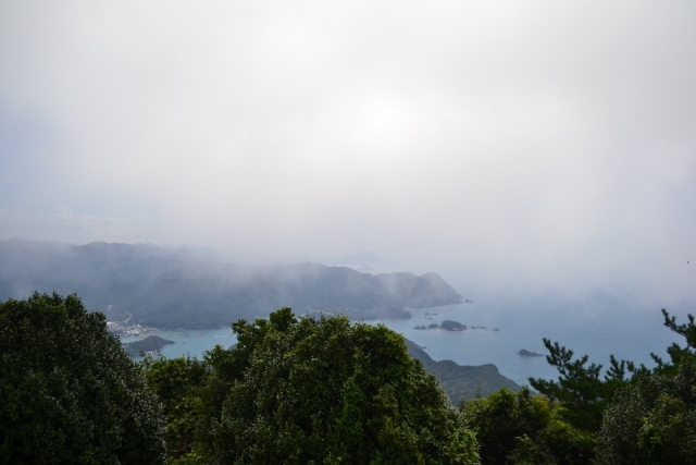 DSC_0079 (960x640)
