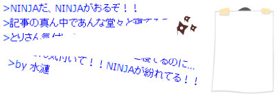 ninjadokoja.jpg