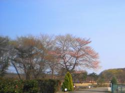 P4010011 (1)