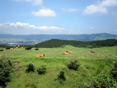 IMG_1714.jpg