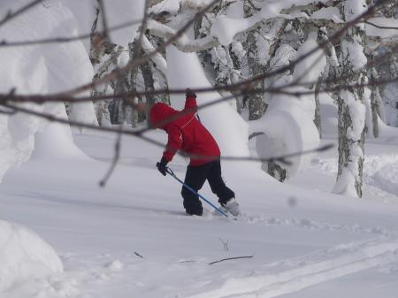 雪に埋まったり・・・