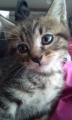20120624161741.jpg