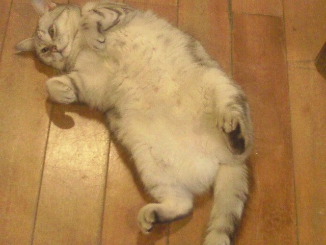 moblog_0a36a198.jpg