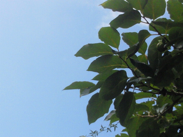 moblog_1758a080.jpg