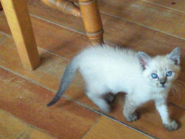 moblog_2b23a7f5.jpg