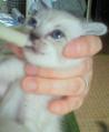 moblog_47bfbc42.jpg