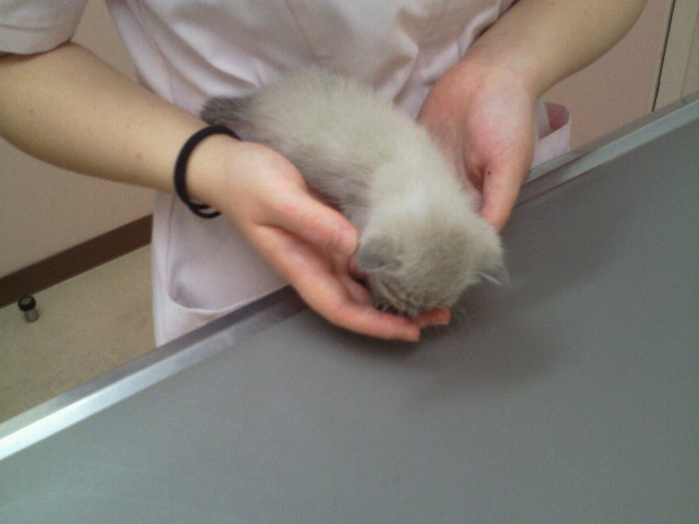 moblog_5c8e2e7f.jpg