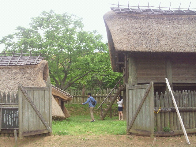 moblog_701e8363.jpg