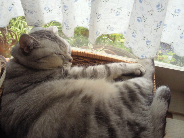 moblog_839ce624.jpg