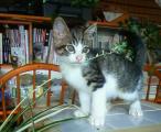 moblog_853389d5.jpg