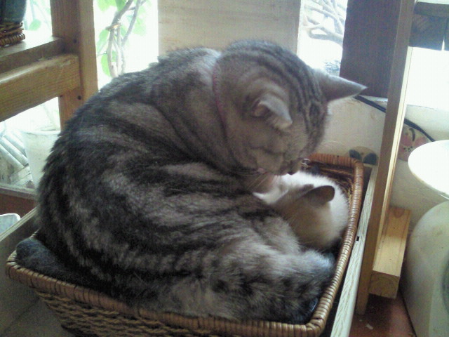 moblog_aa89312d.jpg