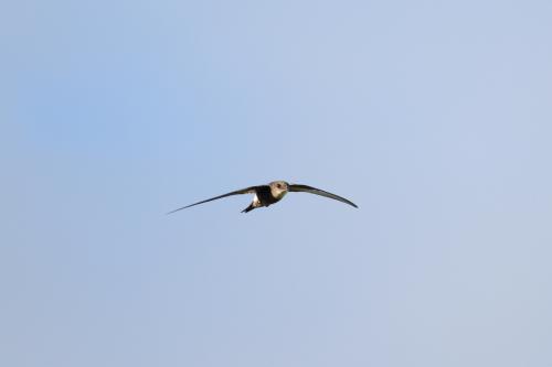 120826_4137_S.jpg