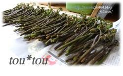 warabi 20<strong>強調文</strong>120507162038