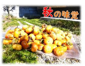 遘九・蜻ウ隕喟convert_20121024190101