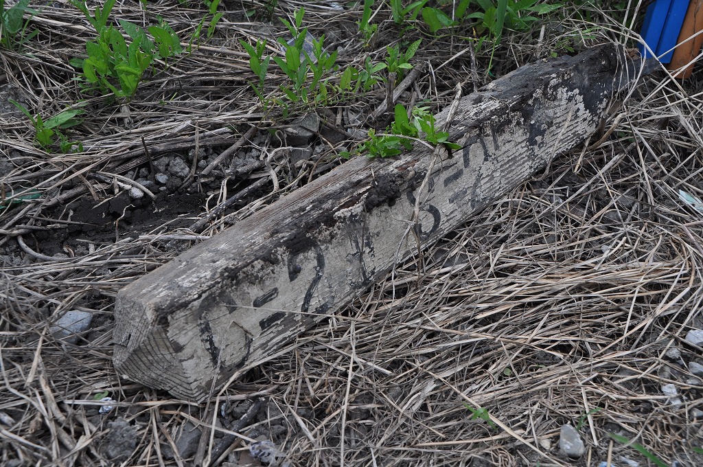 20120711nishikanekui.jpg