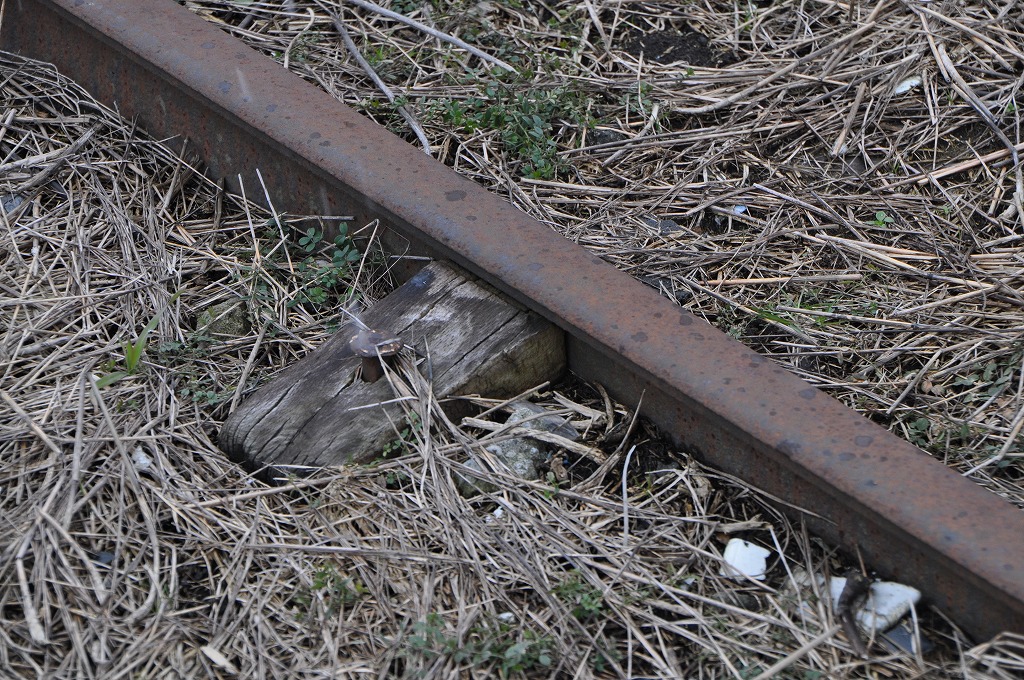 20130220kumiai4.jpg
