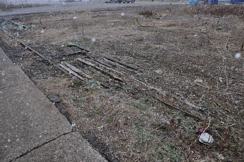 20130220kumiai5.jpg