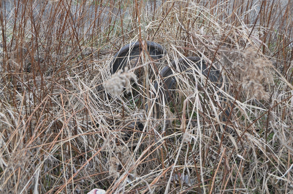 20130220kumiai8.jpg