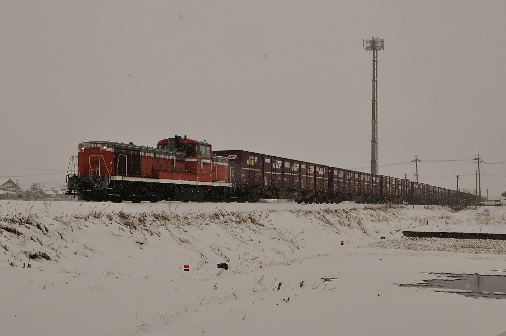 20130225futatsuka41.jpg