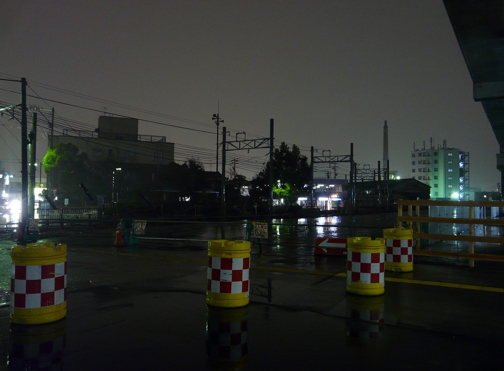 20130301nishikana3.jpg